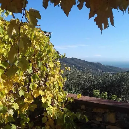 Apartment Agrisport Bilocale Mare *